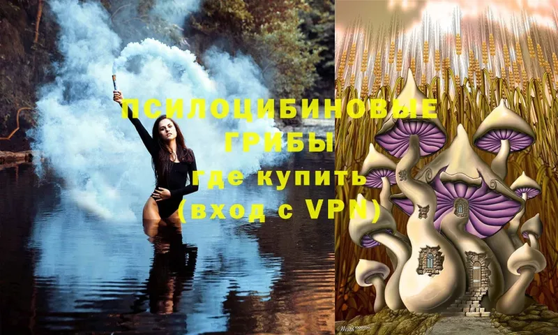 Галлюциногенные грибы Cubensis Великий Устюг